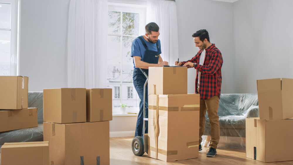 Professional Packing Services Norwood